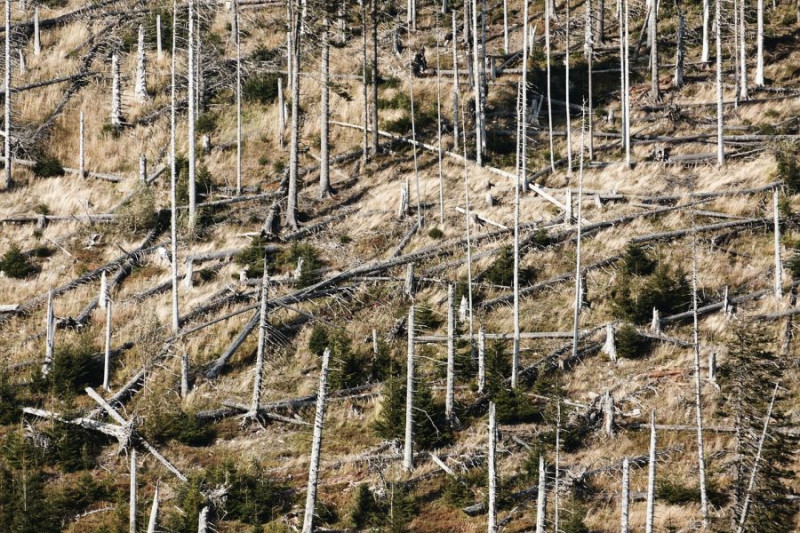 Zmiany klimatu wśród największych globalnych zagrożeń